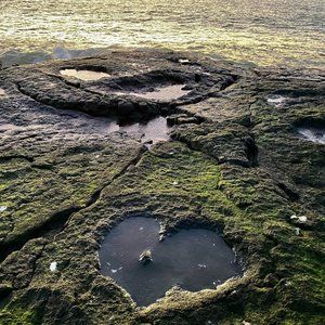 Meet your Posher, Posh